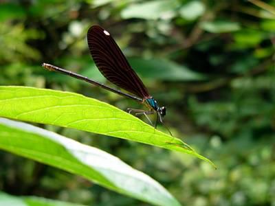 P1000351.JPG
