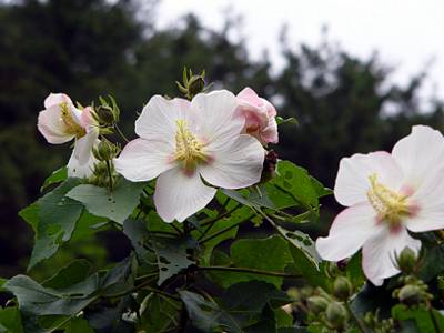 P1010297.JPG