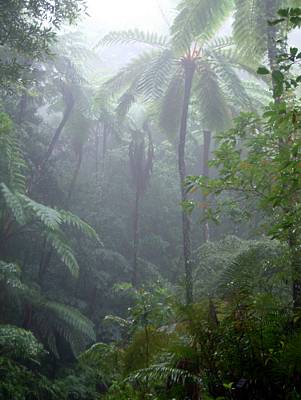DSCF0009.JPG