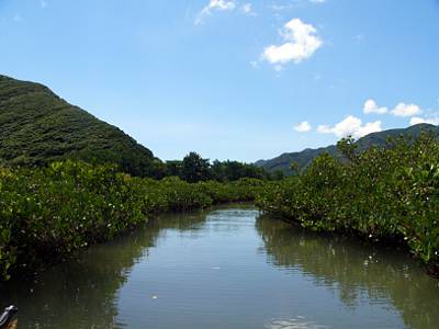 P1000876.JPG