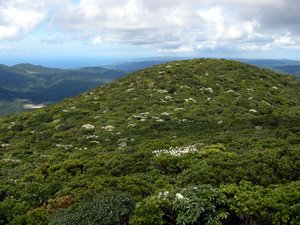 湯湾岳