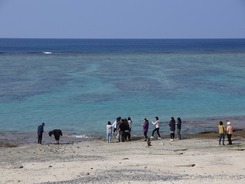 気分は夏！