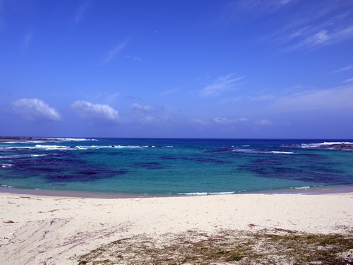 土盛海岸