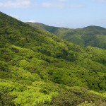 湯湾岳宇検村側