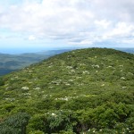 湯湾岳山頂