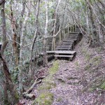 湯湾岳の登山道