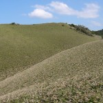 大和村宮古崎