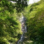 住用町神屋タンギョ（滝）