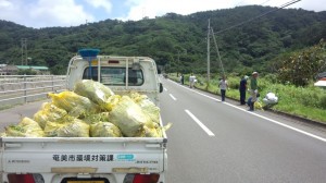 軽トラ1台分