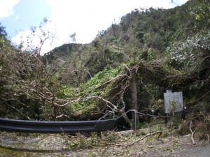 根元への入り口