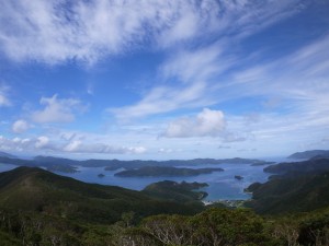 高知山展望台より