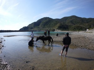 調教中