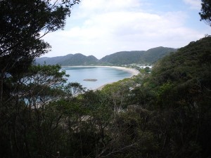 諸鈍長浜を見下ろす