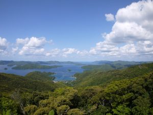 新緑の大島海峡