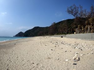 徳浜の砂浜