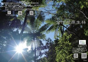 金作原探検コースポスター
 逆光バージョン  