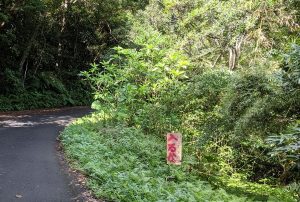 路肩の看板