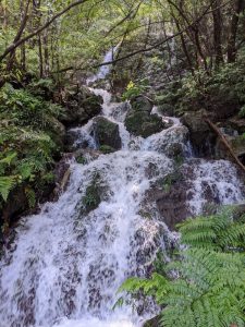 林道沿いの沢