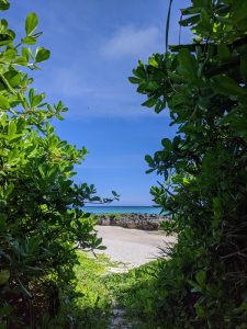 メガネロケ地（寺崎海岸）