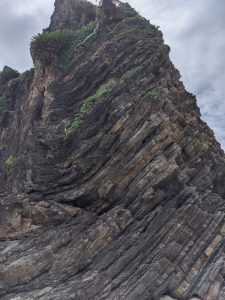 国頭岬近くの基底地層