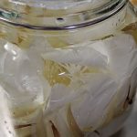 月下美人の焼酎付け
