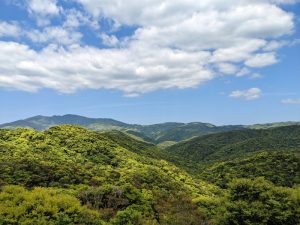 国道58号線から宇検村への途中。
赤土山展望所より湯湾岳