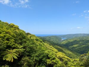 マテリヤの滝から大棚集落への途中から
大和浜と思勝湾