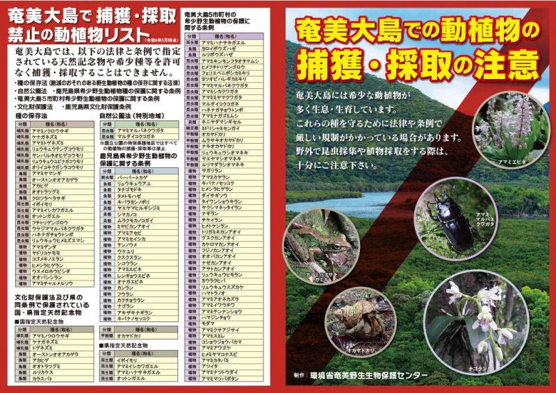 奄美大島での動植物の捕獲・採取の注意。（一覧）