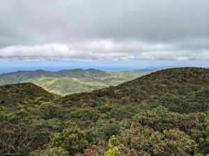 展望台からの眺め
（新緑の景色。2024年4月撮影）