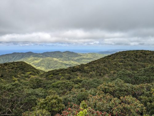 湯湾岳山頂の展望台からの眺望
（新緑の森、2024年4月撮影）