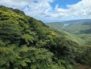 林道から大和浜