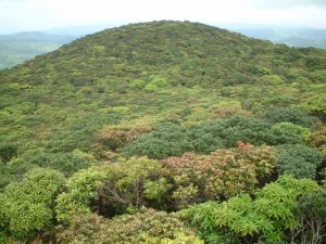 湯湾岳山頂展望やぐらより東シナ海を望む 山頂展望台からの眺め