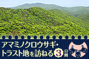 アマミノクロウサギ・トラスト地を訊ねる３日間